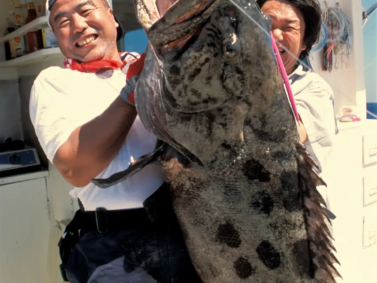 FISHERMAN | Spinning harness