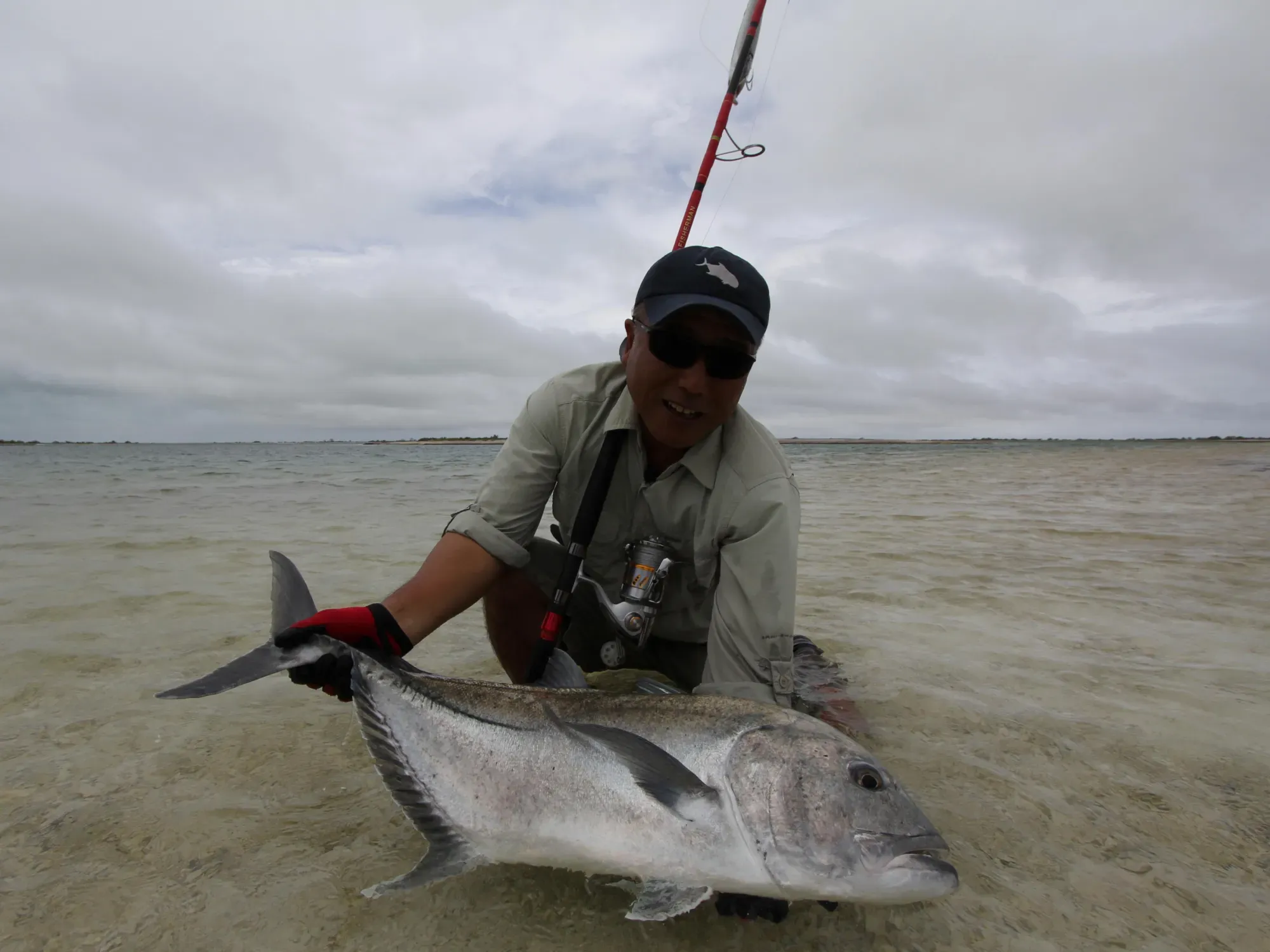 楽天市場】Fishing Hobby 釣り竿 魚 フィッシャーマン 釣り