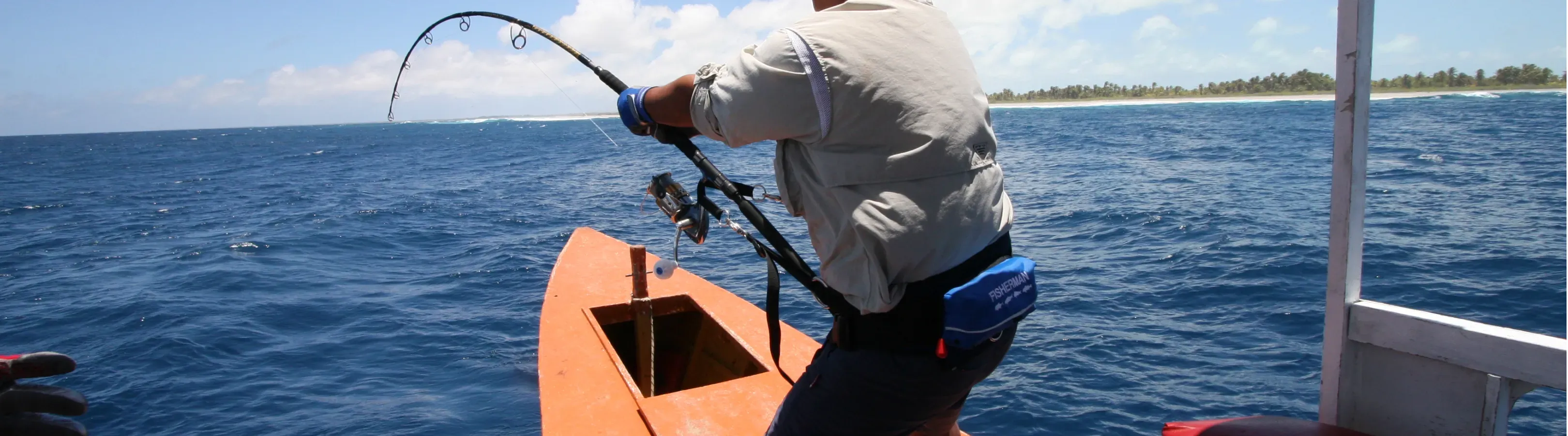 Spinning harness
