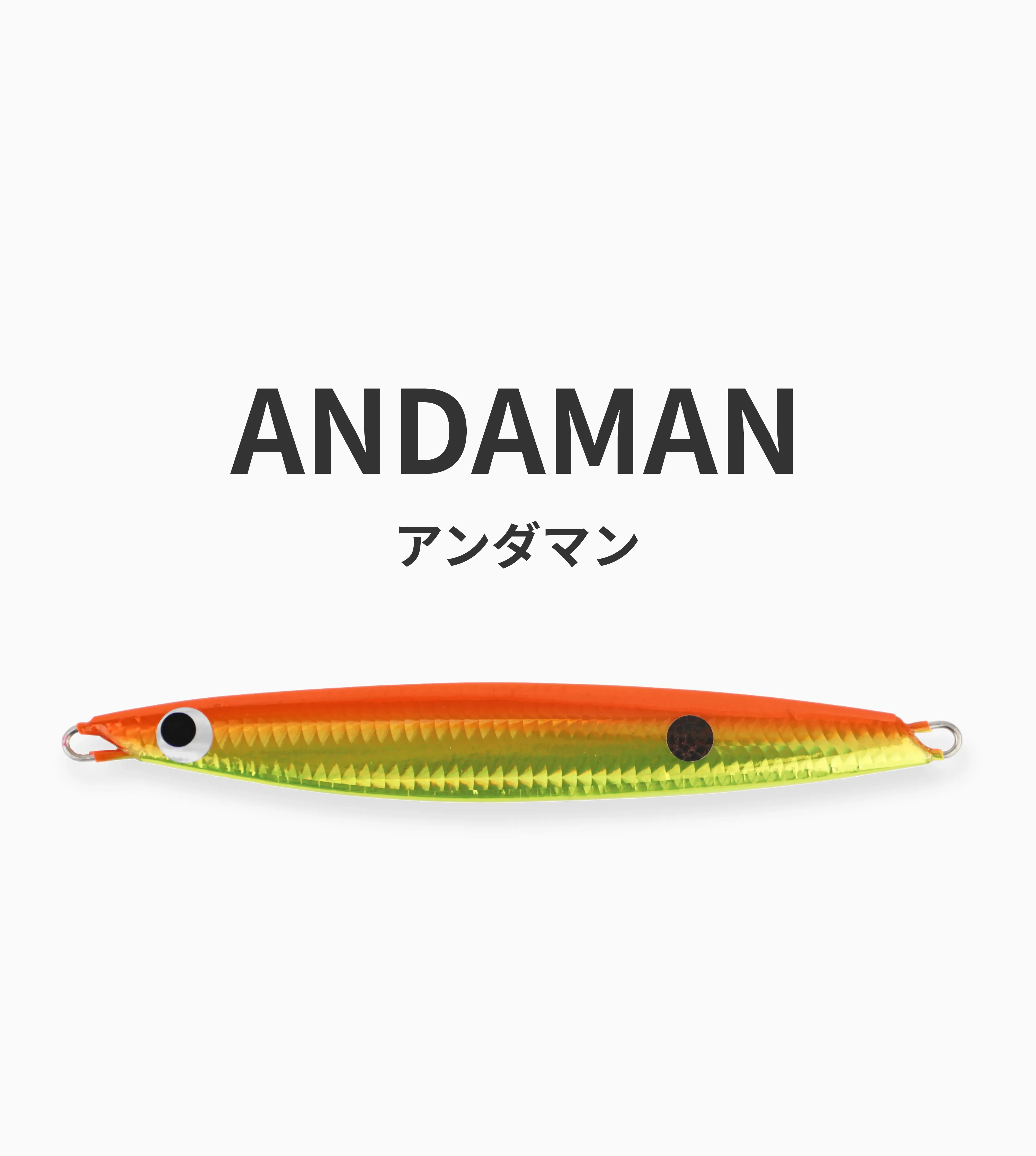 FISHERMANフィッシャーマン　ナポレオン622CTR リップルフィッシャー】 ランナーエクシード 95TC RIPPLE FISHER
