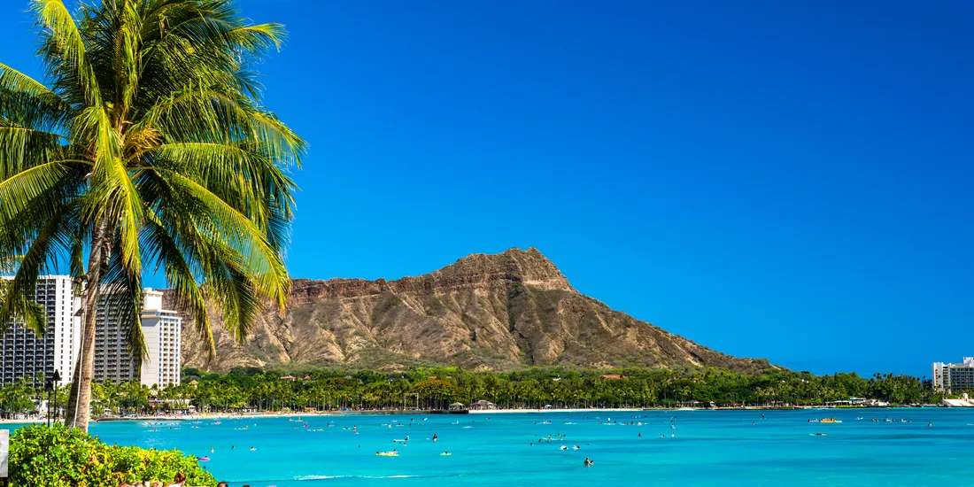 ハワイ　車椅子