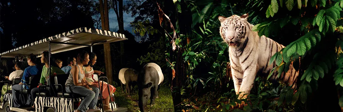 シンガポール動物園 バリアフリー 