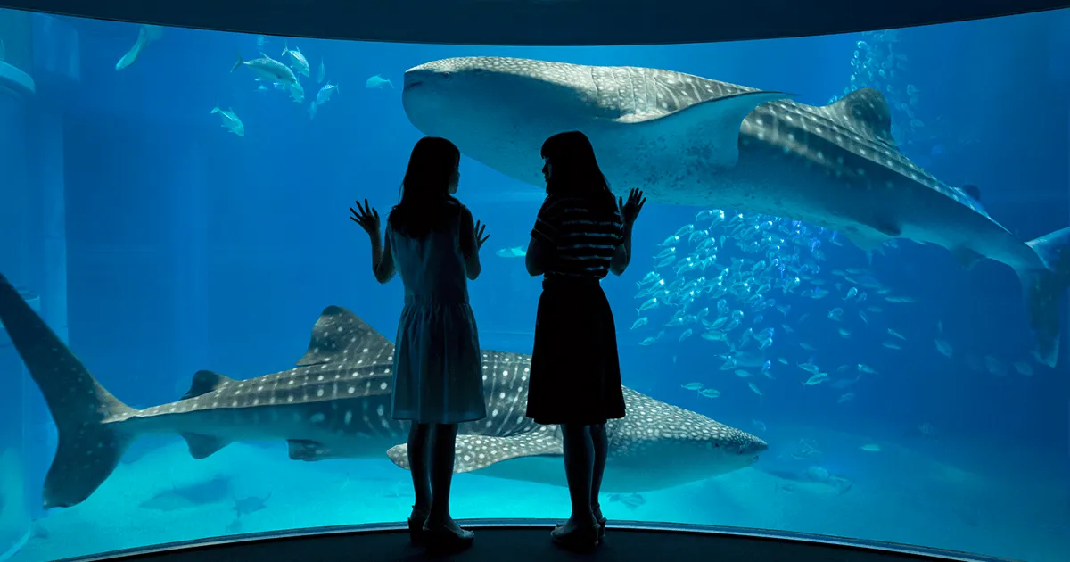 海遊館　バリアフリー情報