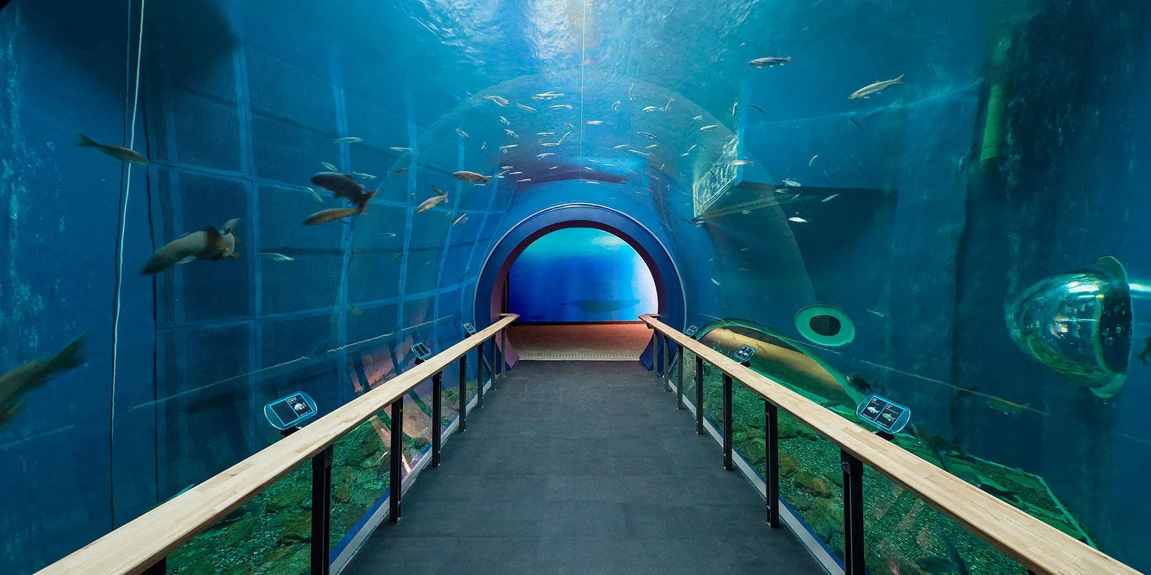 滋賀県立琵琶湖博物館　バリアフリー