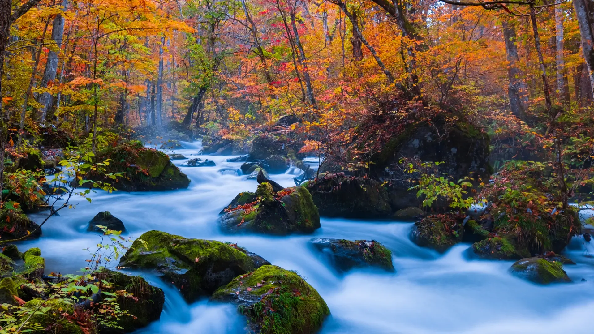 奥入瀬渓流  バリアフリー 