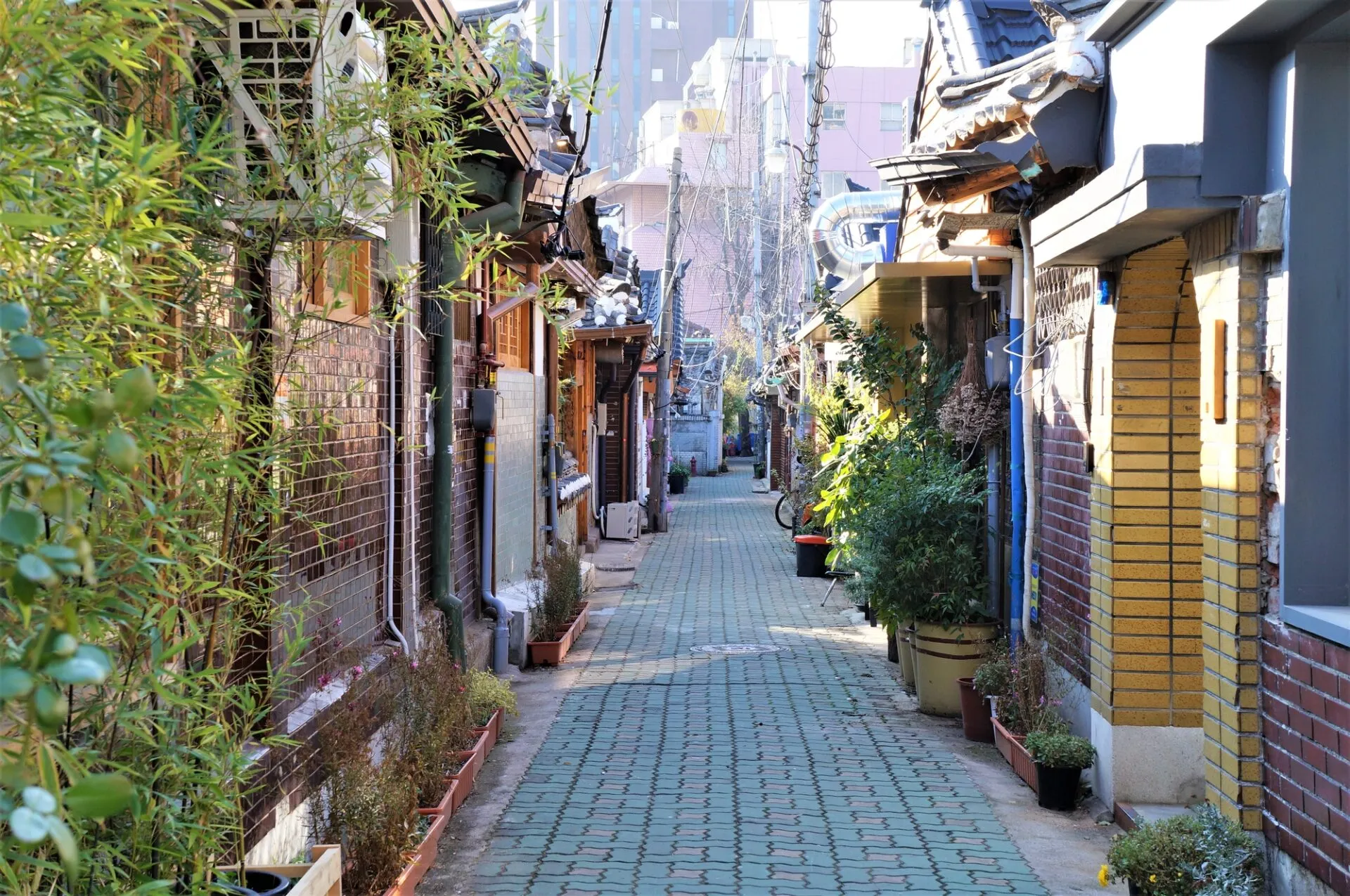 仁寺洞 バリアフリー 