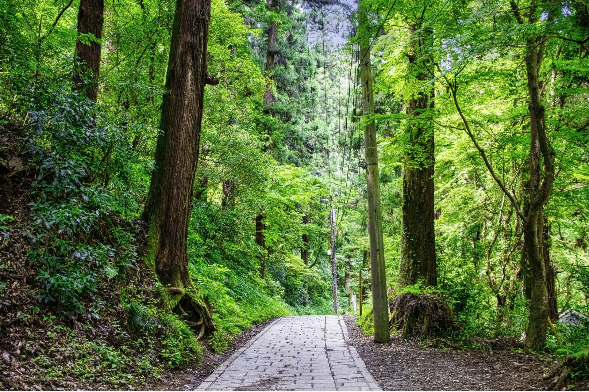 高尾山　バリアフリー情報