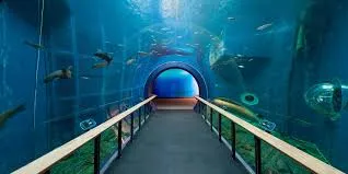 琵琶湖博物館 バリアフリー 