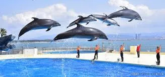 マリンワールド海の中道 バリアフリー