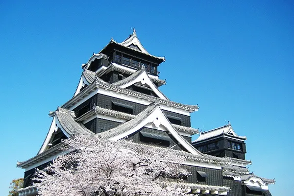 熊本城　車椅子