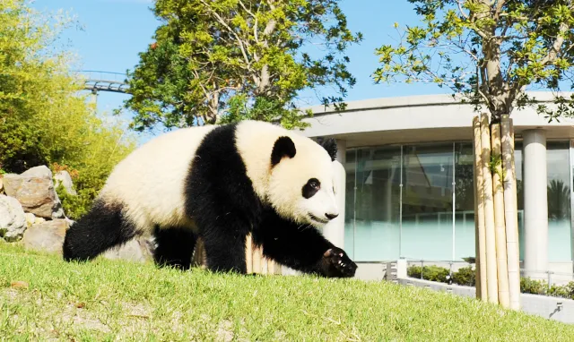 アドベンチャーワールド バリアフリー