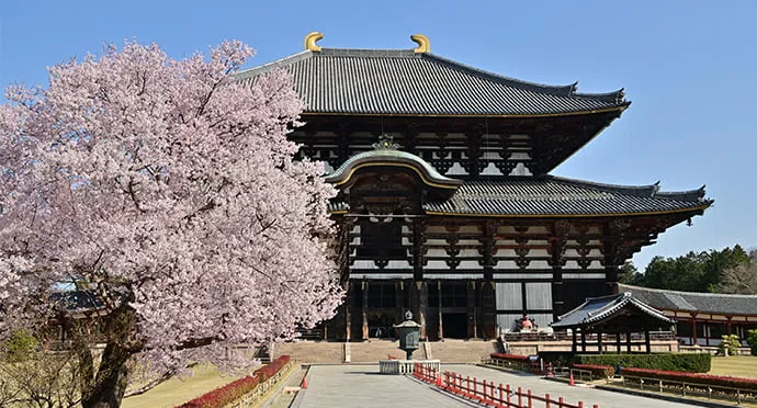 東大寺大仏殿  バリアフリー 