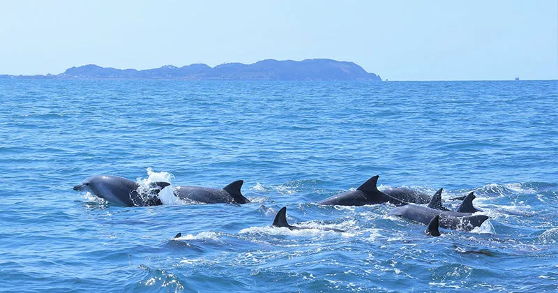 天草　バリアフリー