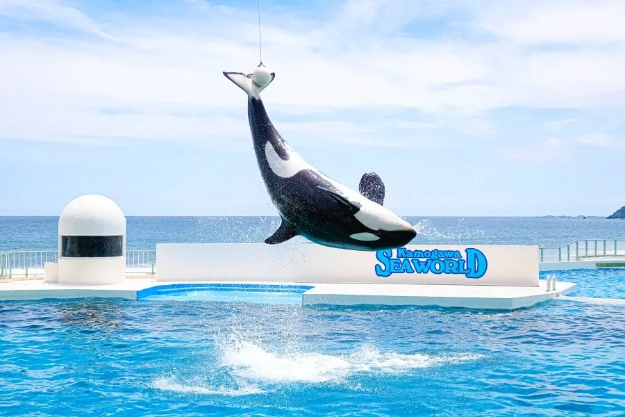 鴨川シーワールド バリアフリー 