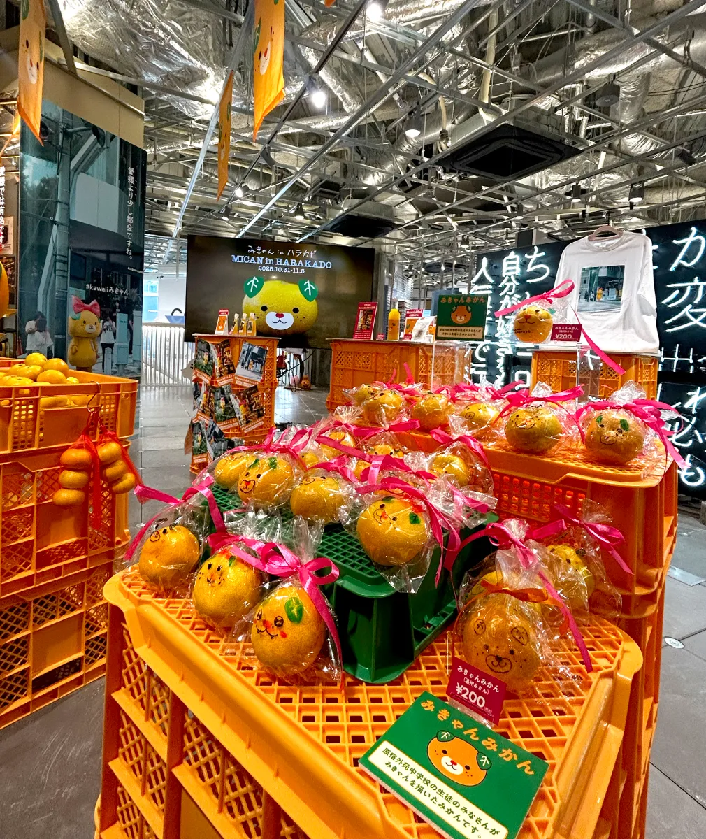 kawaiiみきゃん ストア in ハラカドを開催