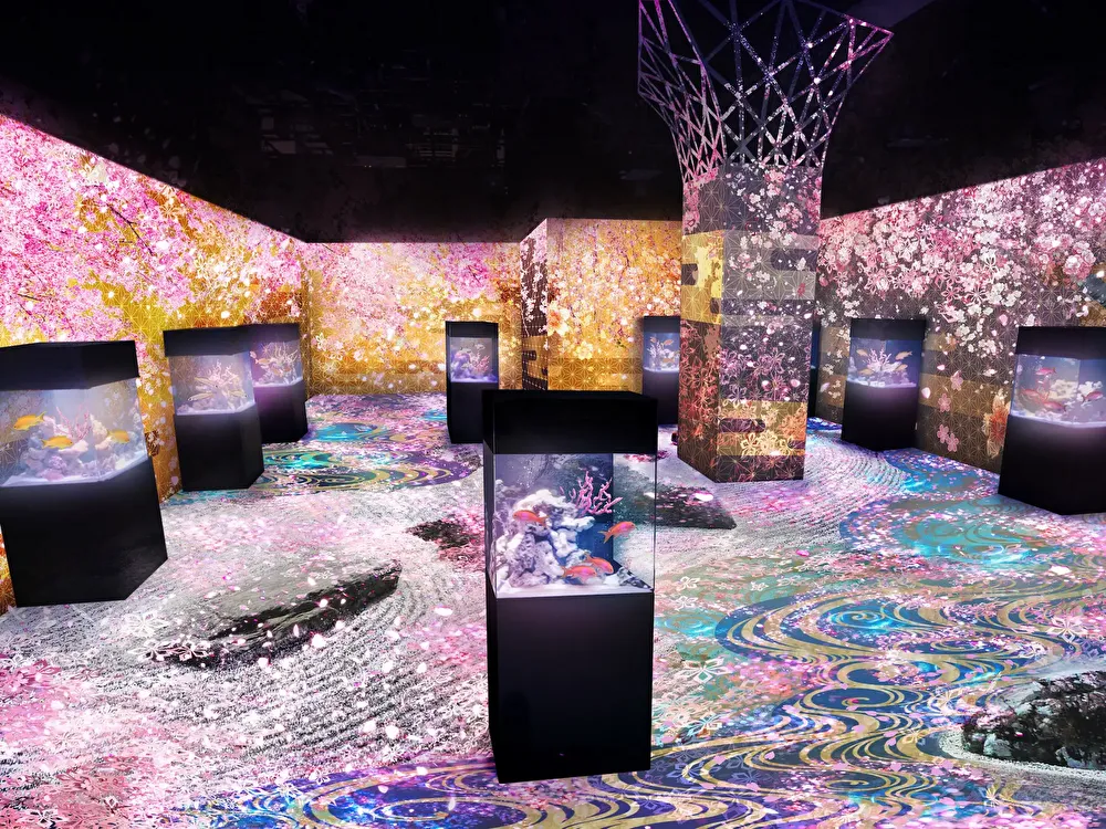 マクセル アクアパーク品川×ネイキッド、桜のデジタルアートで