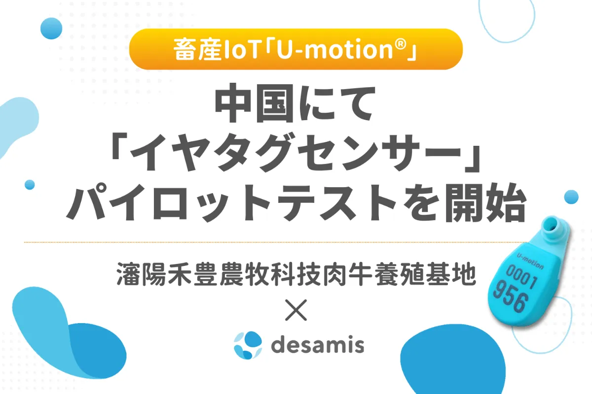中国の牧場にて、U-motion®イヤタグセンサーの実用化および正式販売に