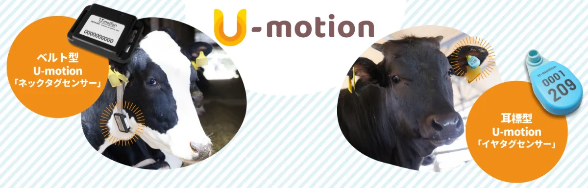 累計販売台数20万台突破！ 47万頭の牛の飼養データを有する AI活用畜産