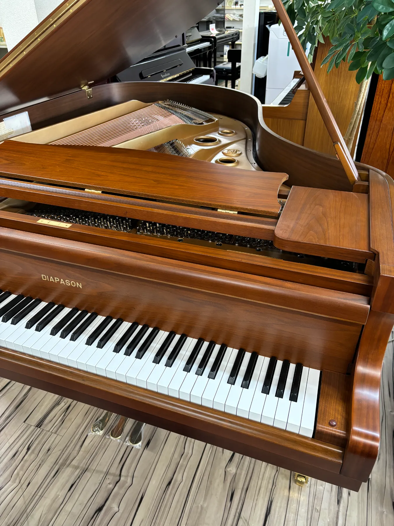 ピアノソフィ -オーバーホール修理・コンサート調律-