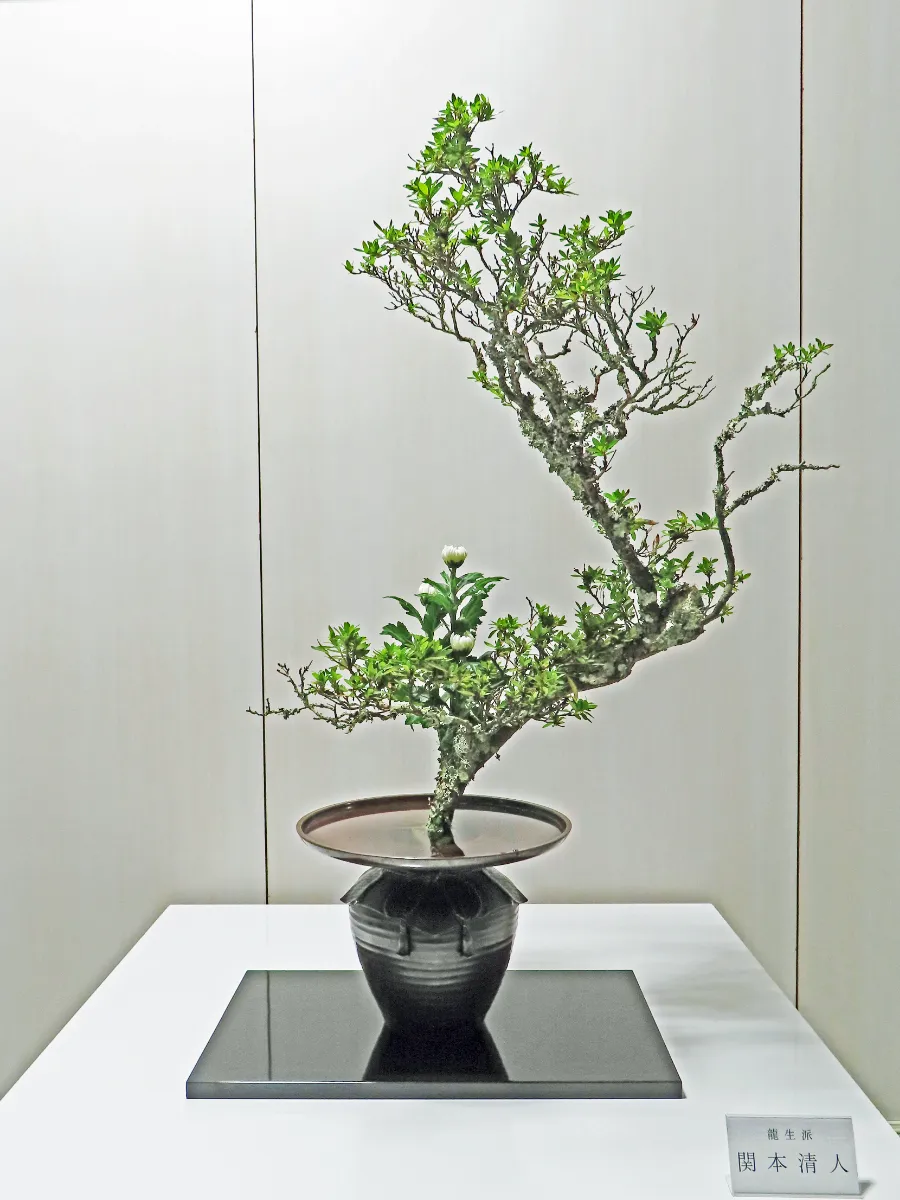 第76回千葉県茶華道協会いけばな展 2次 開催 - 協会情報 | 千葉県茶