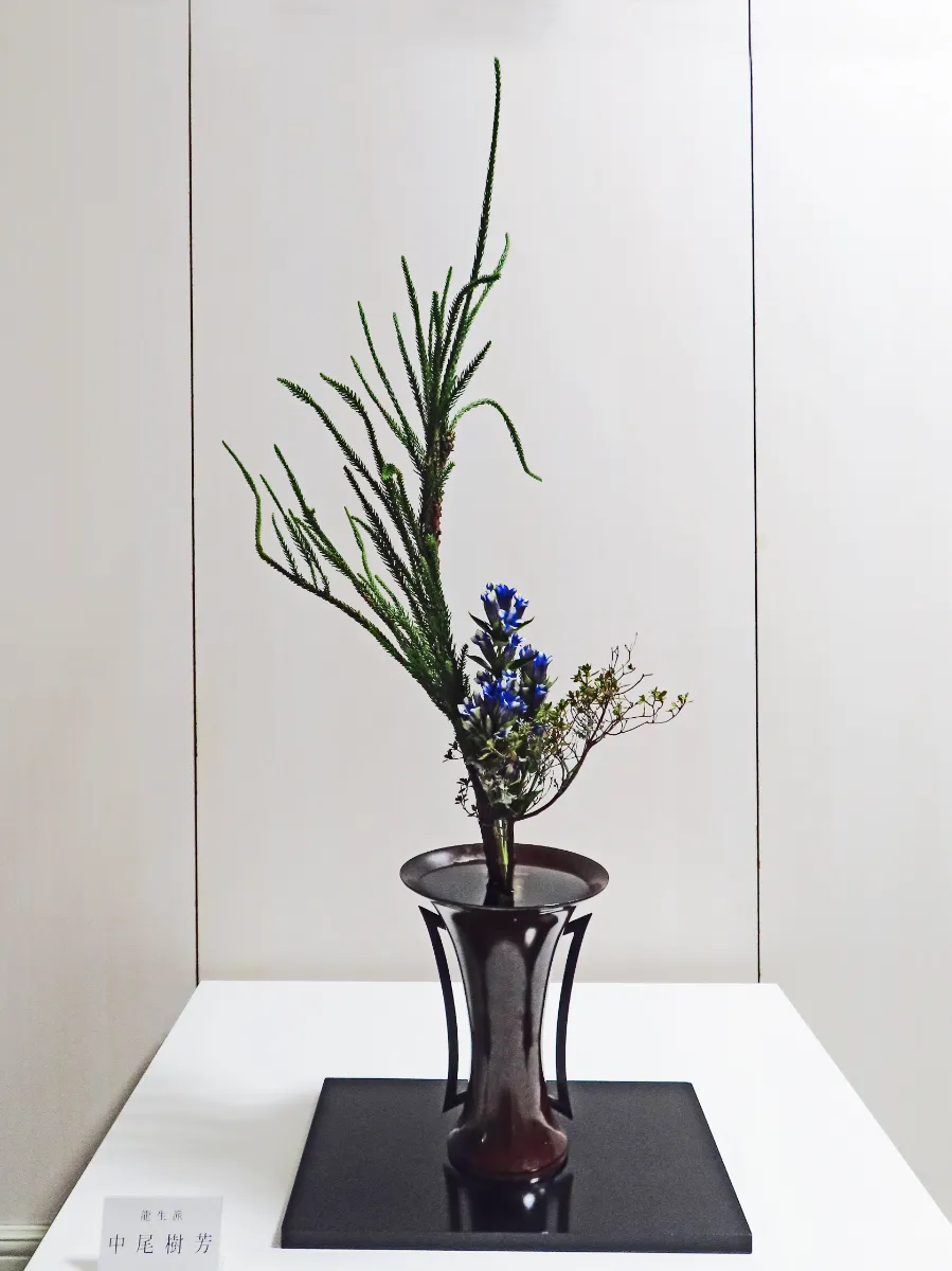 第76回千葉県茶華道協会いけばな展 1次 開催 - 協会情報 | 千葉県茶