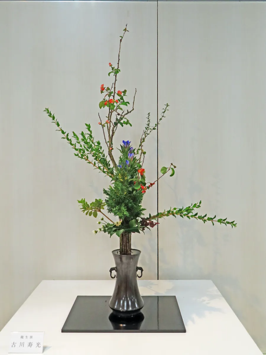 第76回千葉県茶華道協会いけばな展 2次 開催 - 協会情報 | 千葉県茶