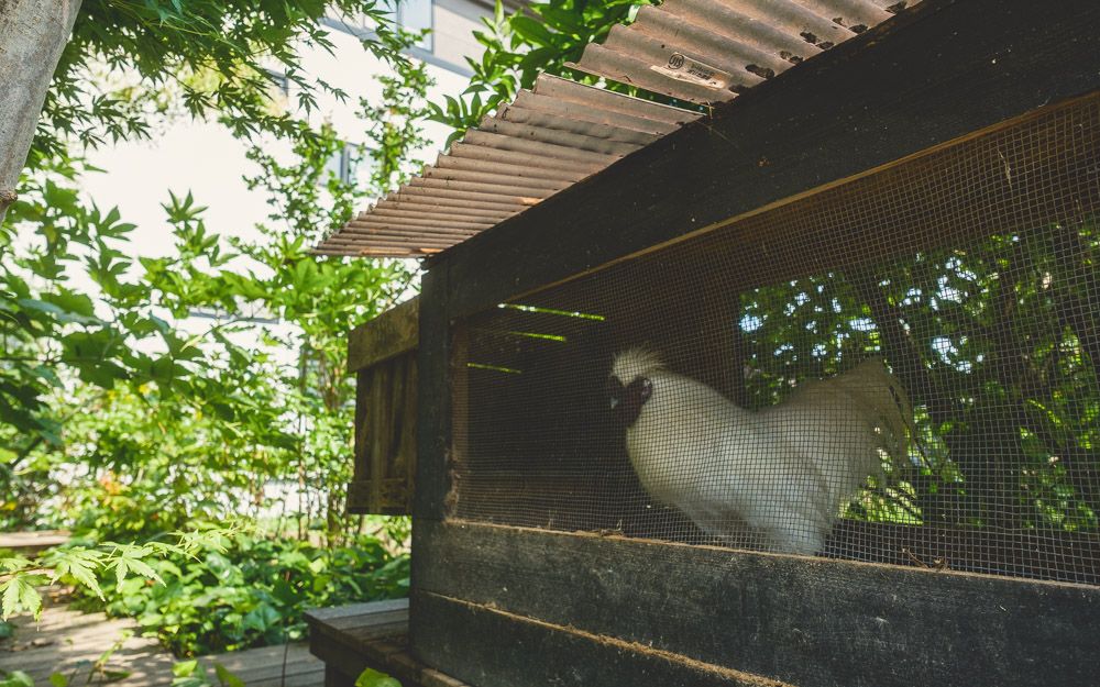 イニュニックヴィレッジ9