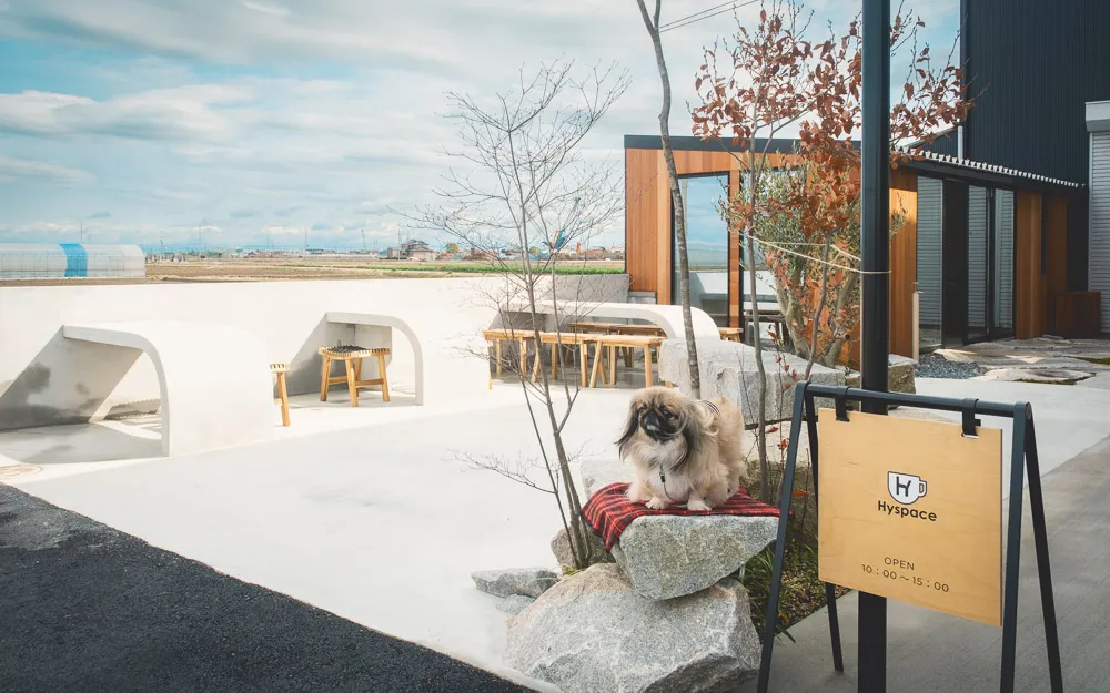 ワンコ 高知の犬とお出かけ｜ワンコnowa