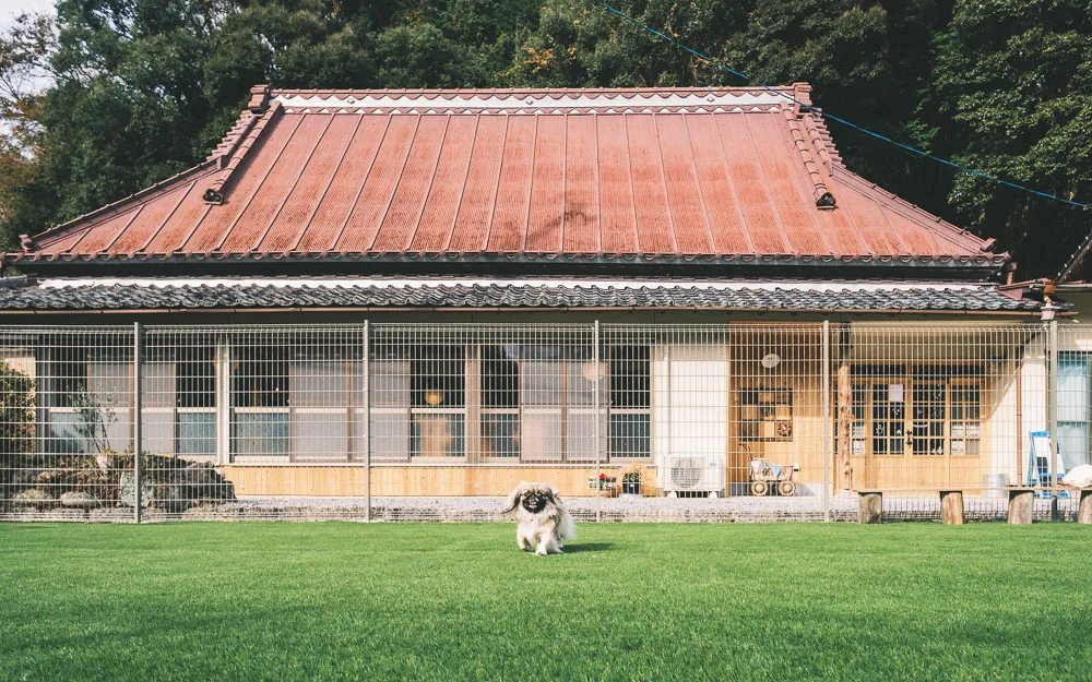 築125年の古民家ドッグカフェ＆ランが豊田市に誕生！フォトスポットも