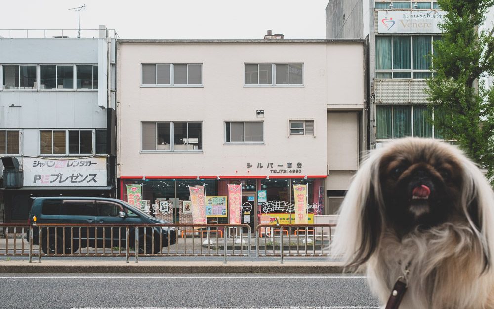 ポップアートギャラリー