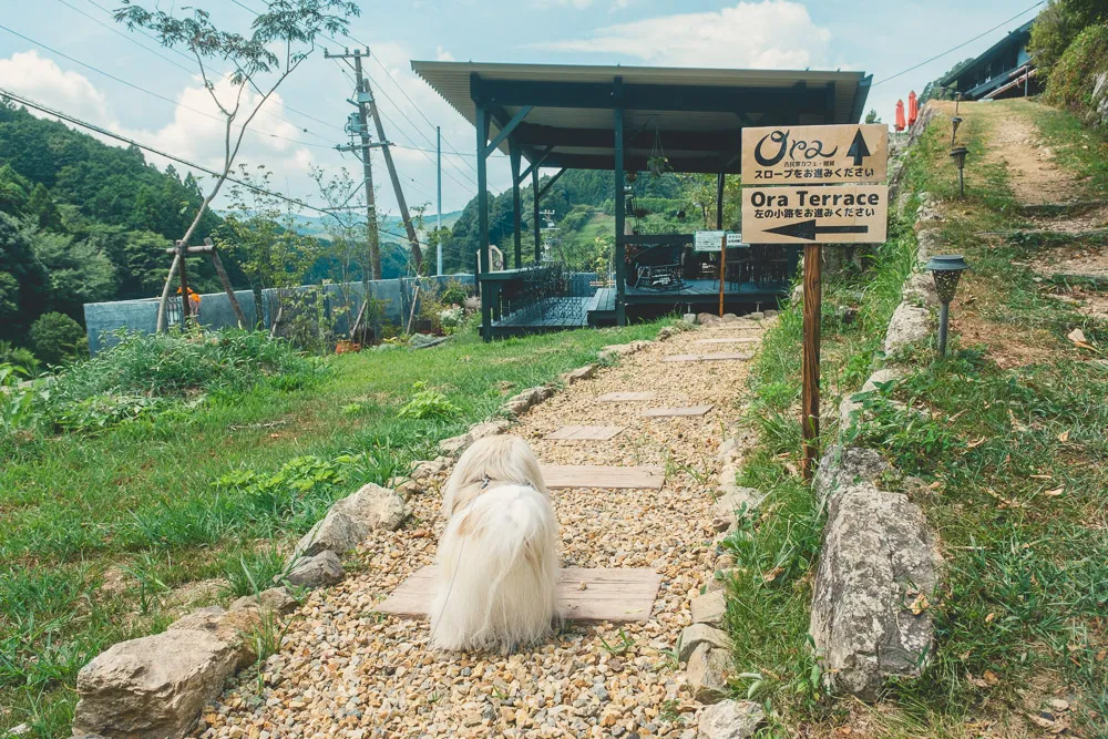 豪華テラス完成】浜松にある百年超えの古民家カフェが、まるで