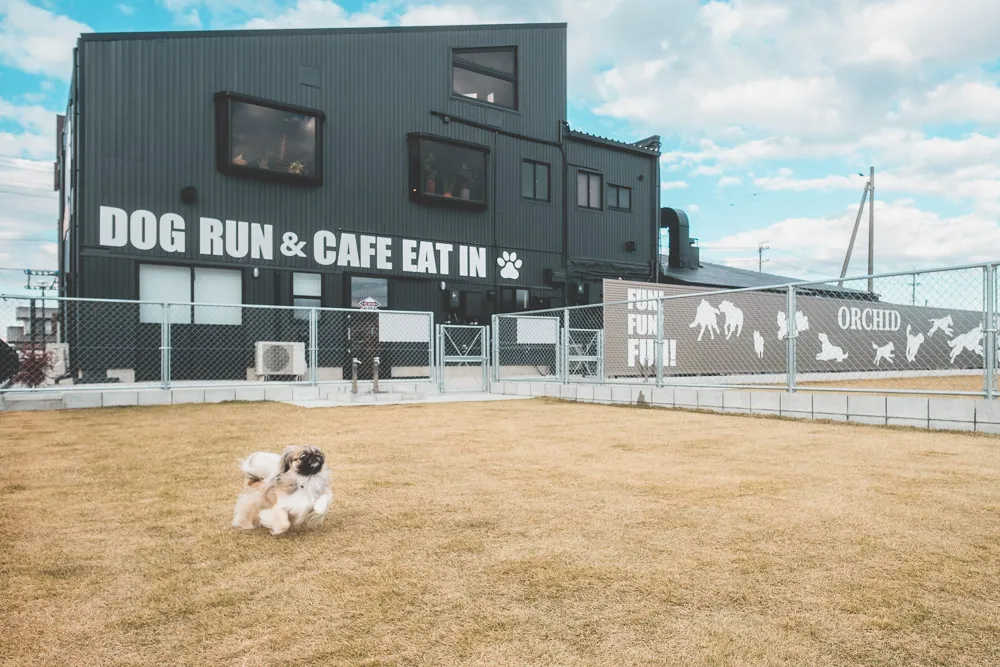 静岡県にできた大注目の、NYブルックリン風のドッグカフェ＆ラン