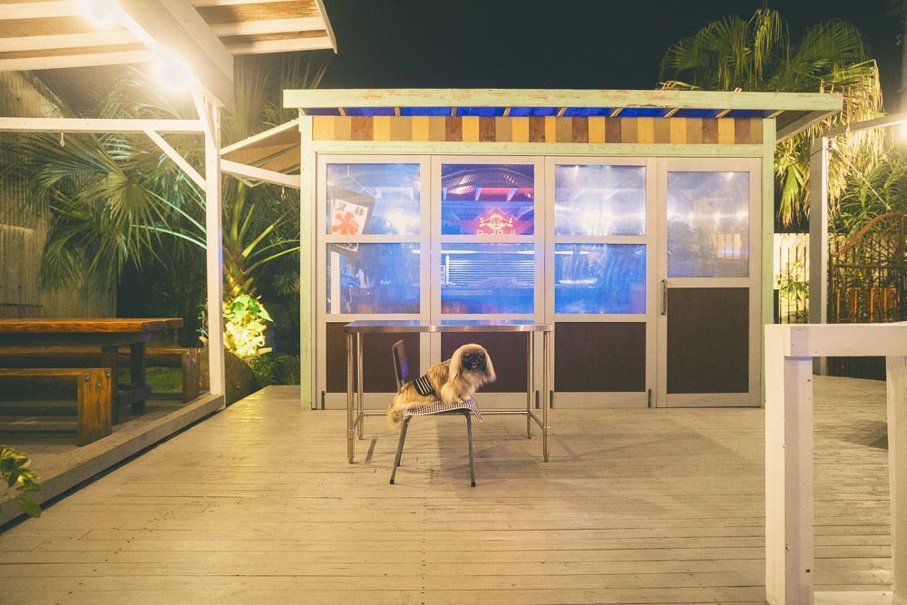 ブロッケンバーガー1