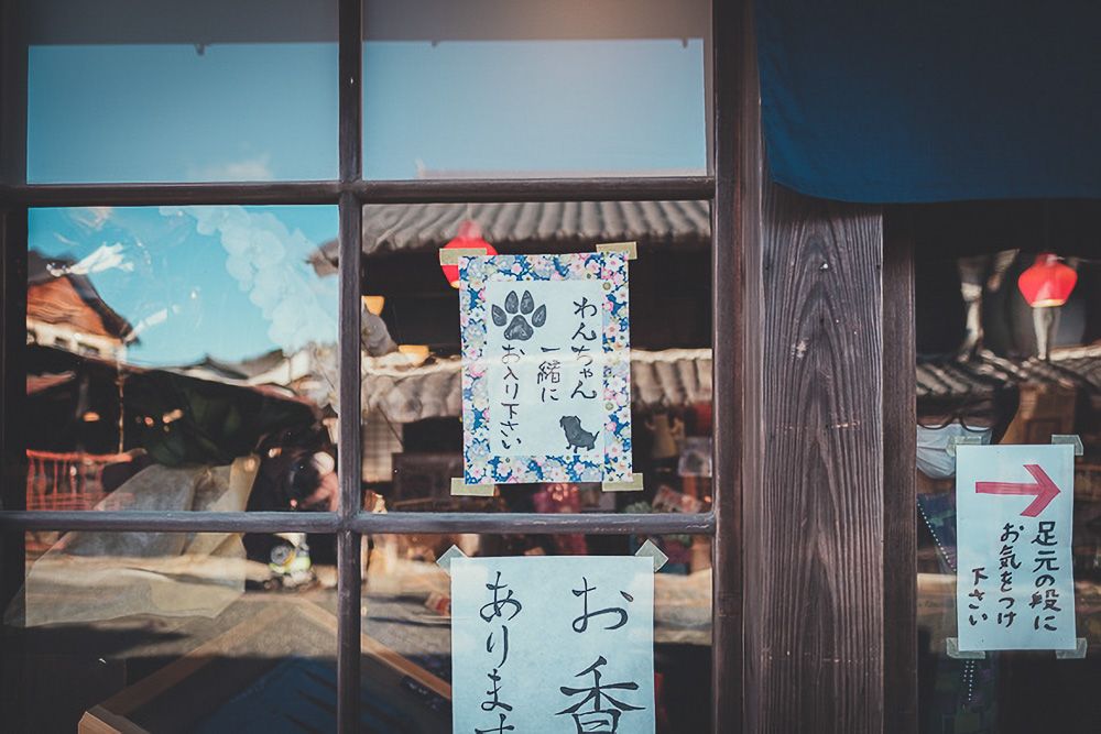 はっぱすたんど22