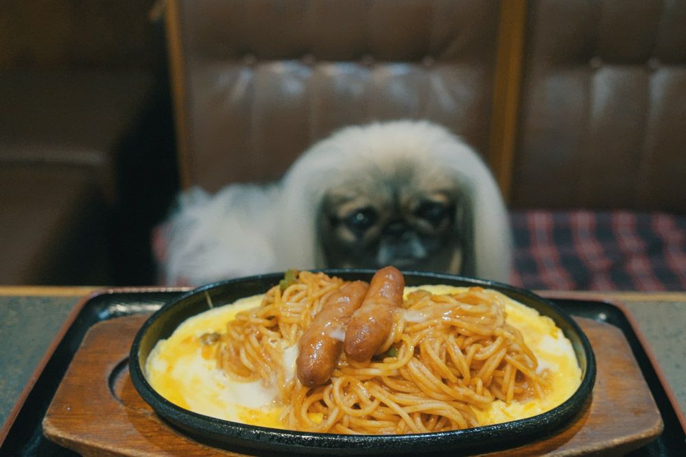 HARU cafe ポパイ13