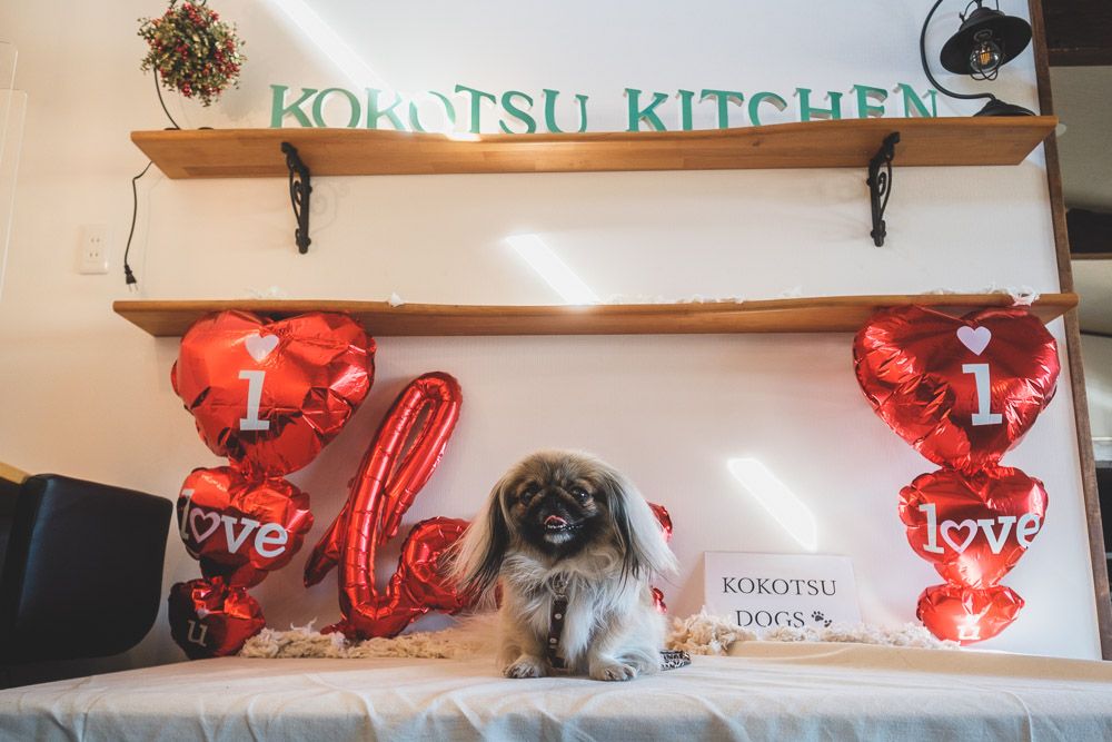 ココツキッチン10