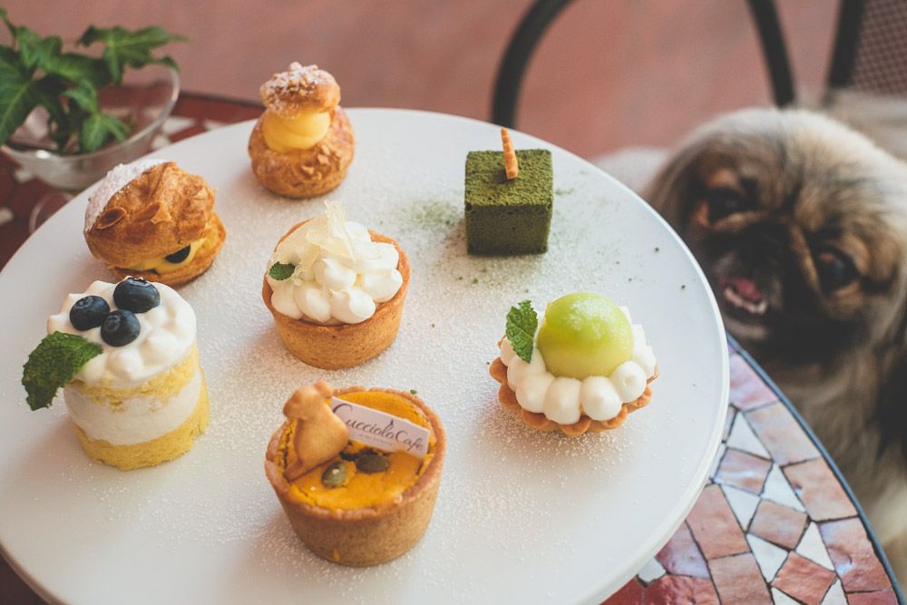 クッチョロカフェ9