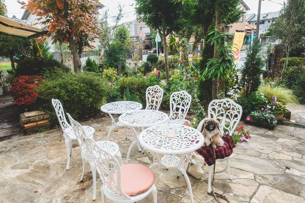 くつろぎのcafe KONA8