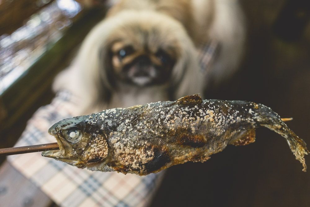 釜ヶ滝滝茶屋21