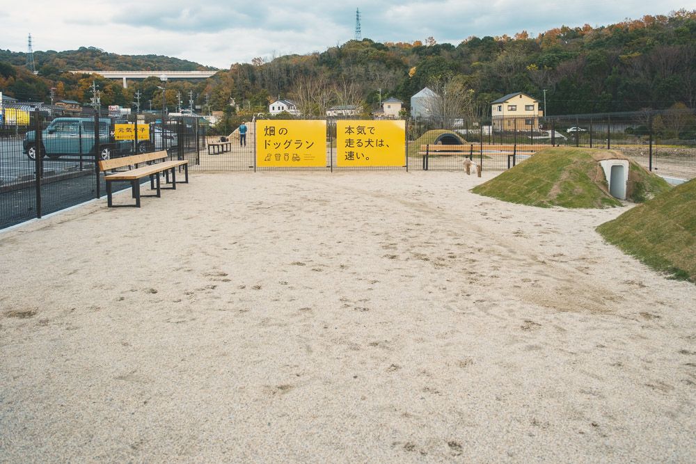 畑のドッグラン10