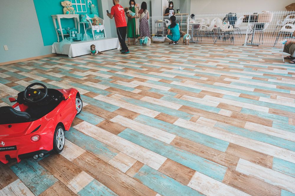 ペットのスマイル