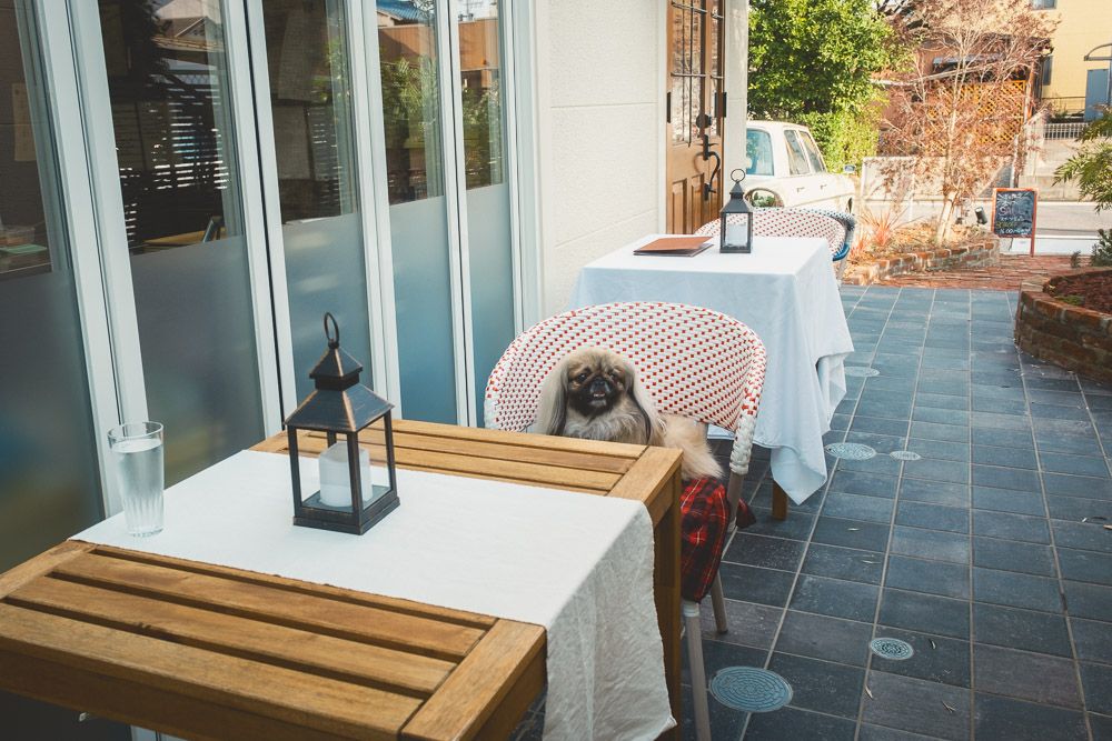 Shoスイーツカフェ4