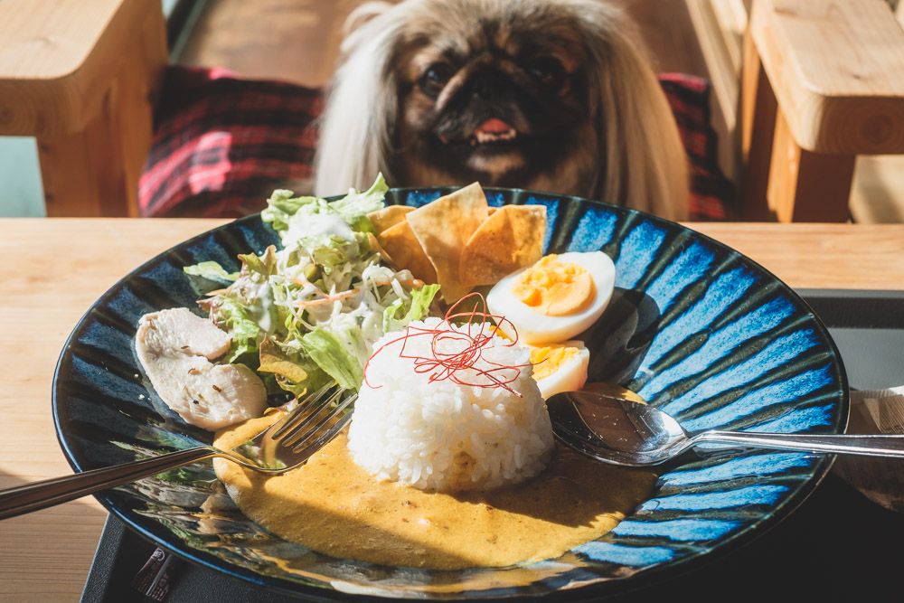 タダノイヌヅキ16