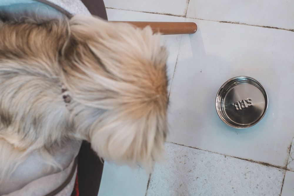 カフェ フラット12