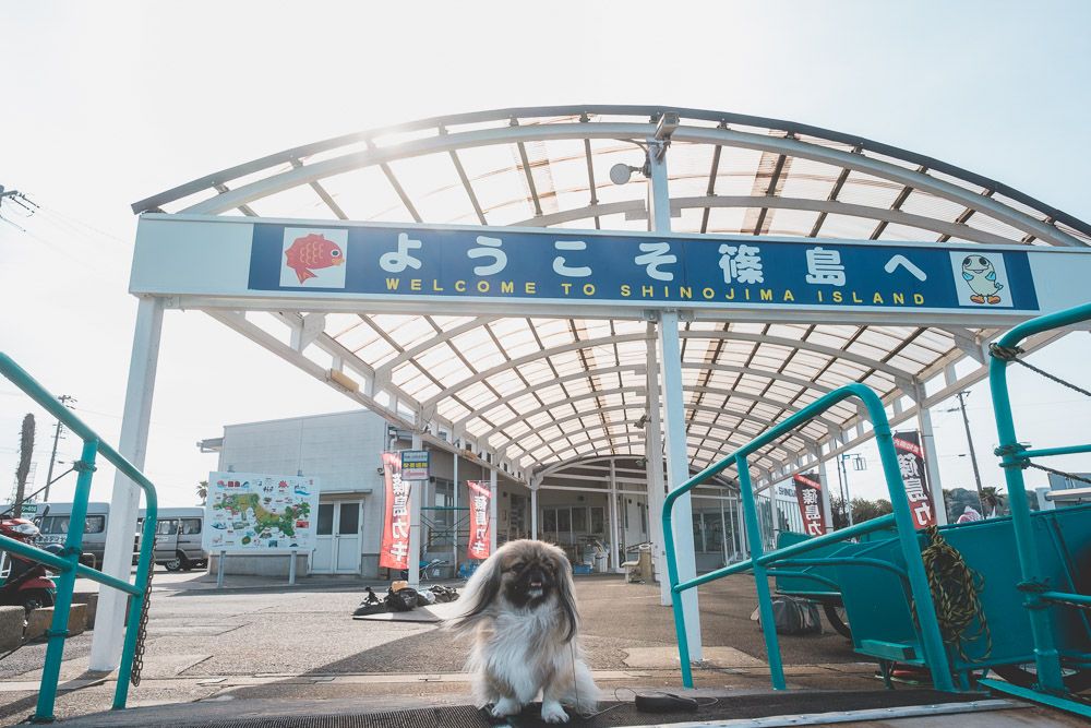 篠島デューテラス7