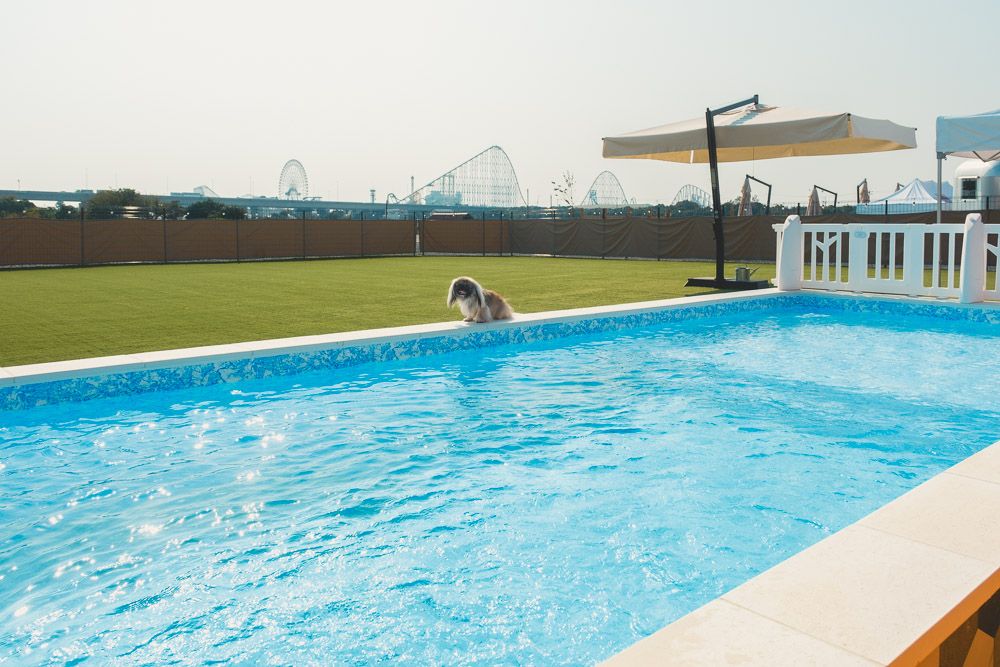 ロサフィールド13