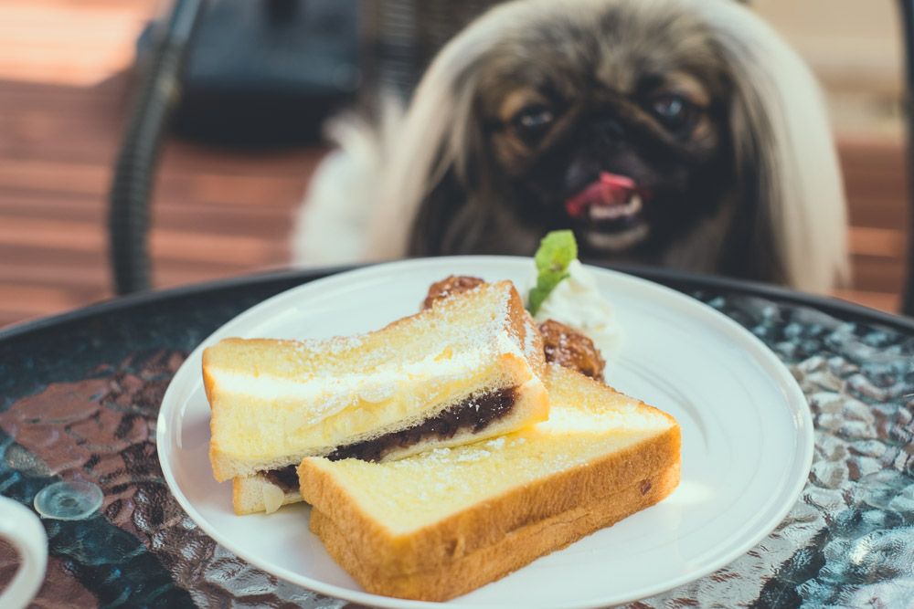 珈琲処 徳右ヱ門17