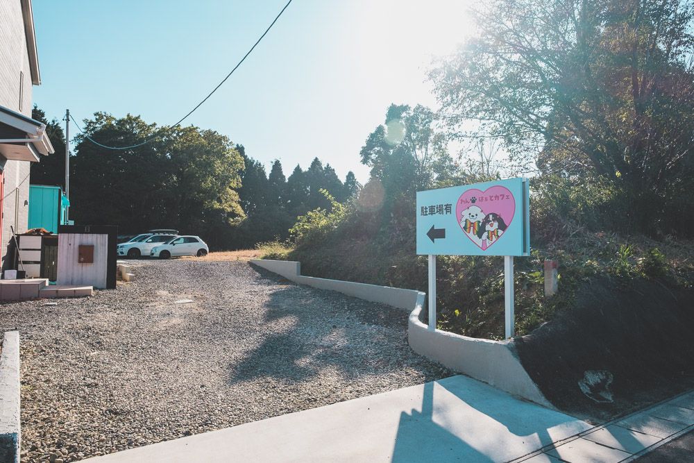 わんはぁとカフェ2