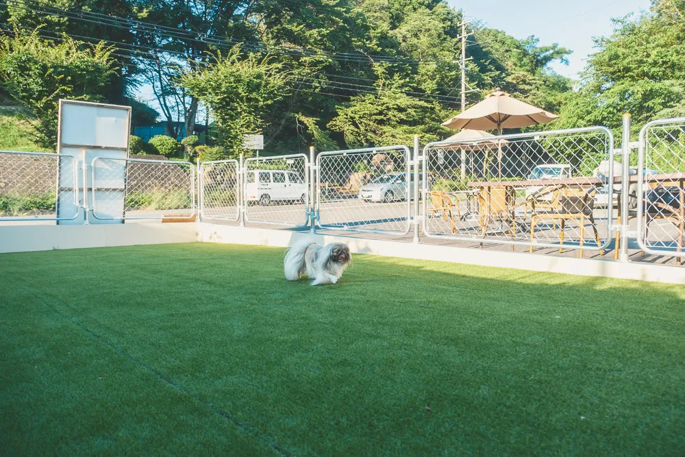 ハワイアンスタンド ハワイアンスタンド ハワイアンスタンド ディオ ZX AF18 AF25 AF27