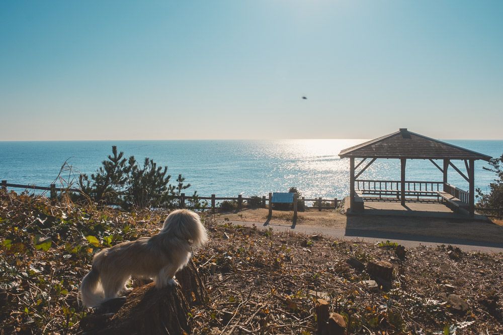 上田商店灯台カフェ7